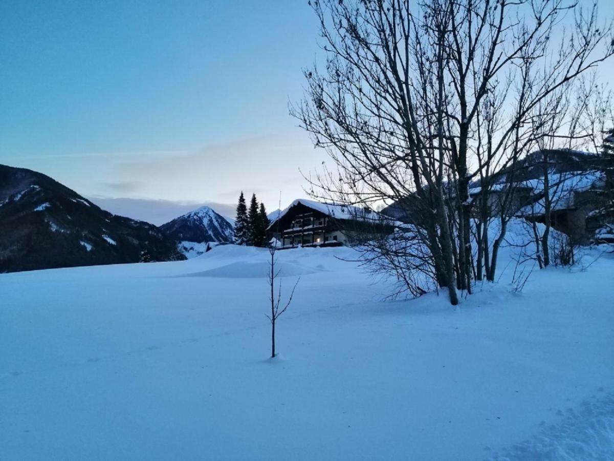 Zur Sonnigen, Eleganten Kuh Schladming Kültér fotó